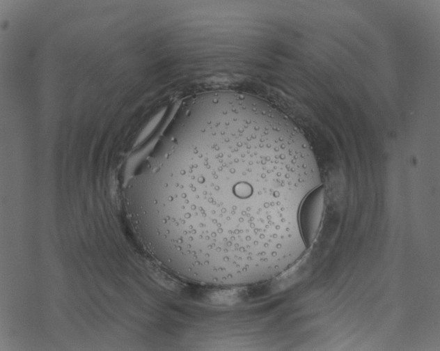 X0000073420178200608251559