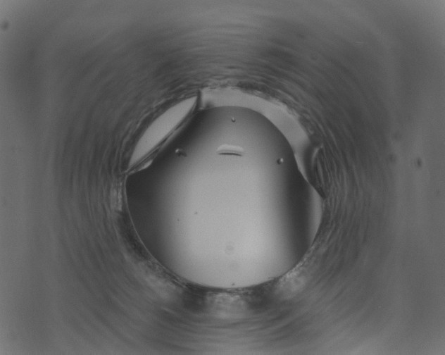 X0000073420180200608251559