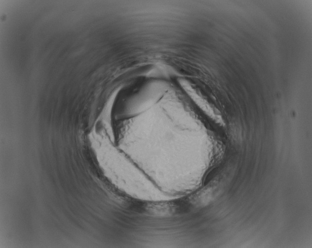 X0000073420181200608251559