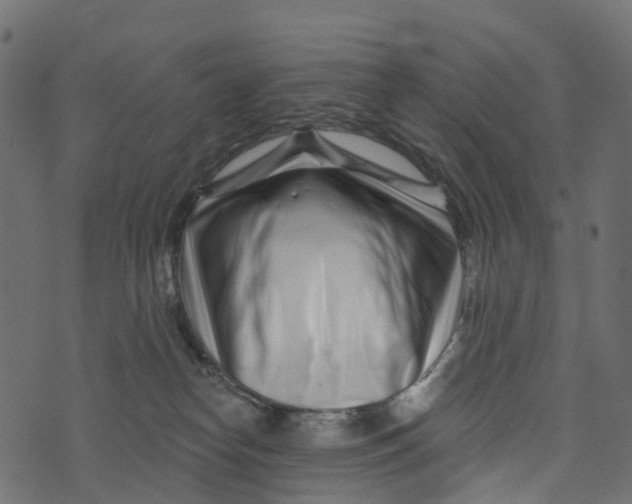 X0000073420182200608251559