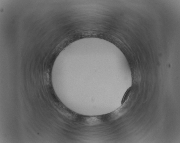 X0000073420183200608251559