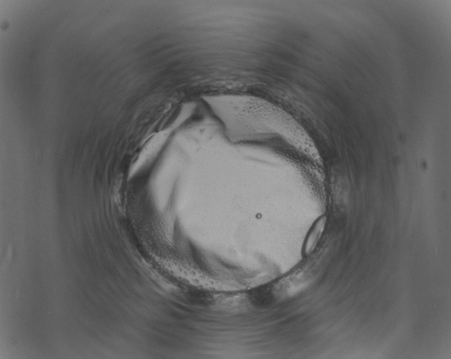 X0000073420185200608251559