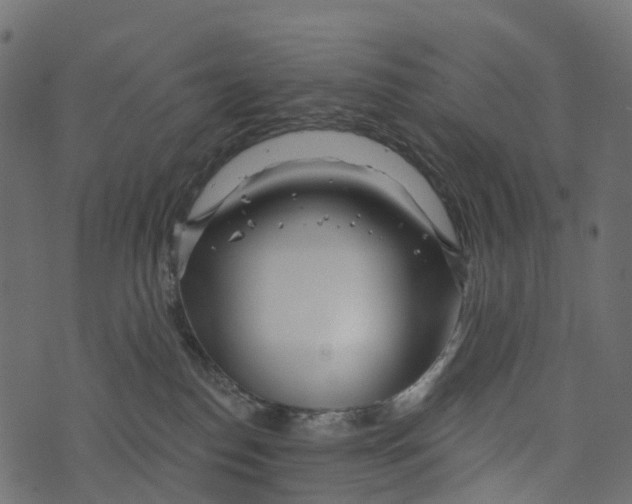 X0000073420186200608251559