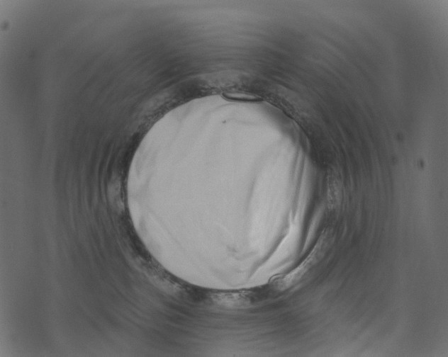 X0000073420187200608251559