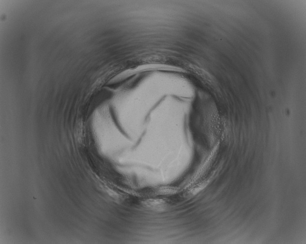 X0000073420189200608251559