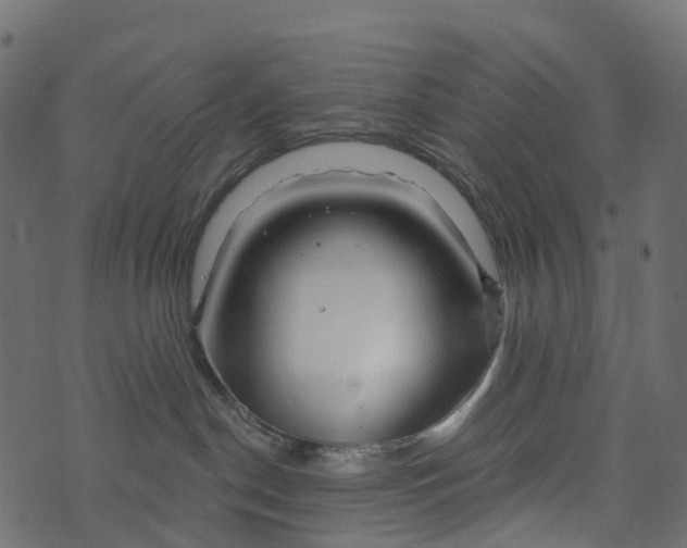 X0000073420190200608251559