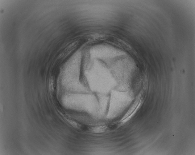 X0000073420191200608251559