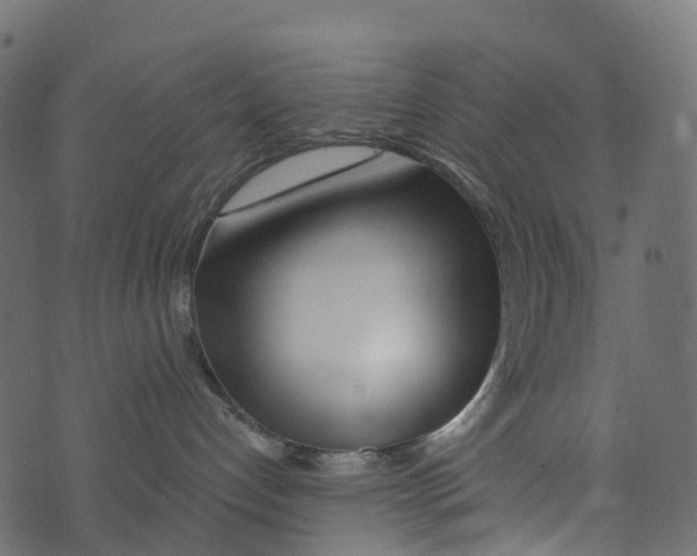 X0000073420192200608251559