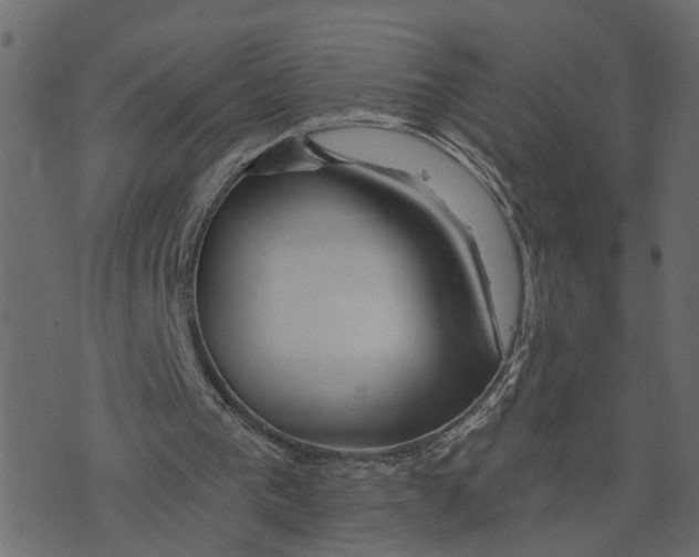 X0000073420193200608251558