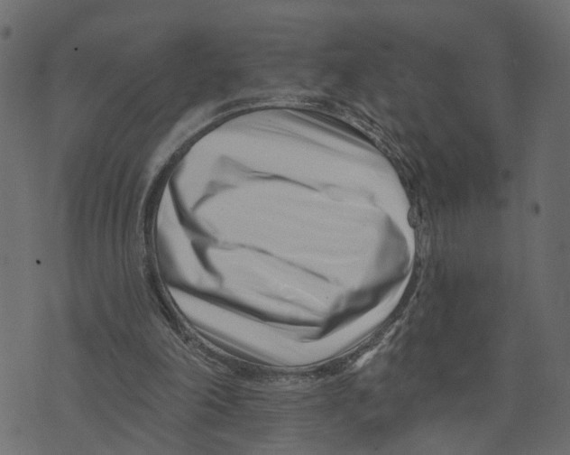 X0000073420198200608251558