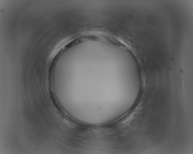 X0000073420199200608251558