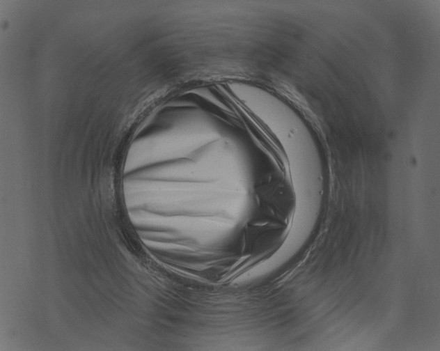 X0000073420202200608251558