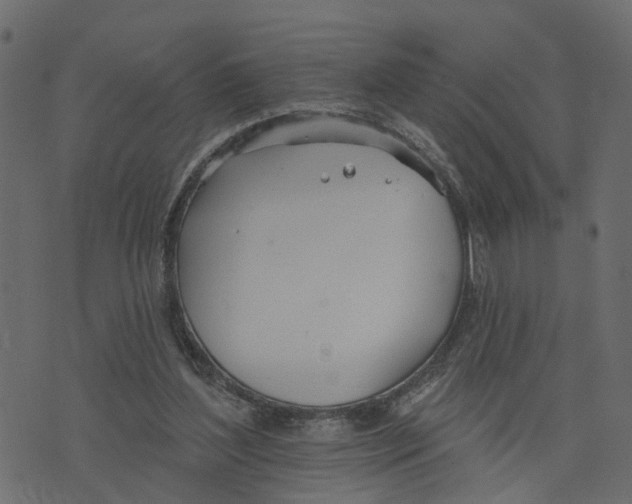 X0000073420204200608251558