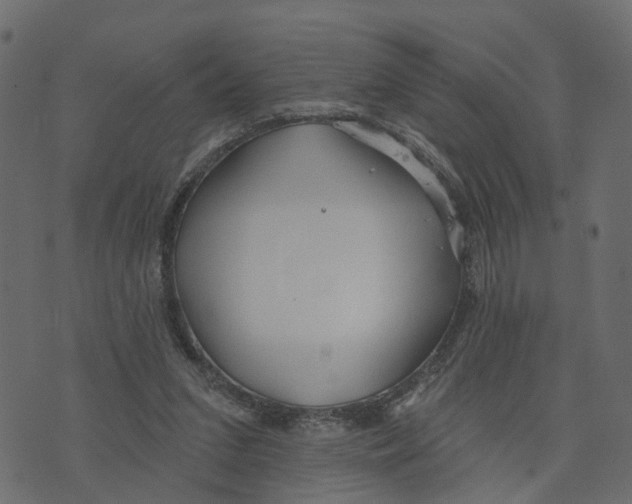 X0000073420207200608251558