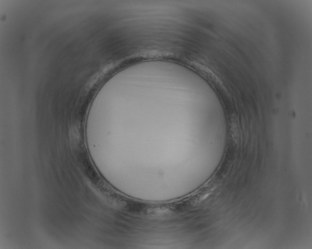 X0000073420208200608251558