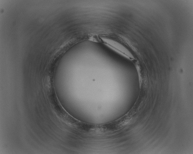 X0000073420211200608251558