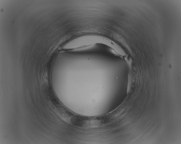 X0000073420212200608251558