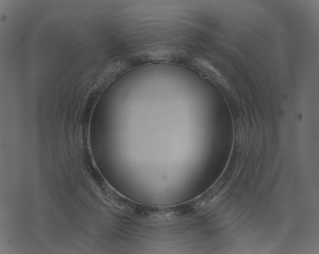 X0000073420213200608251558