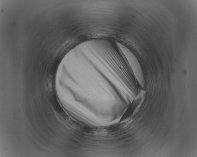 X0000073420214200608251558