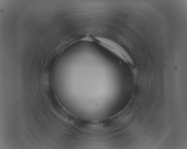 X0000073420215200608251558