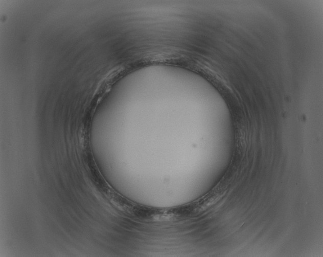 X0000073420216200608251558