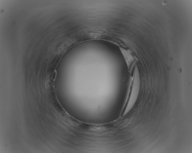 X0000073420221200608251558