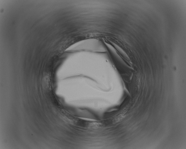 X0000073420222200608251558