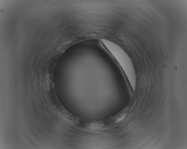 X0000073420223200608251558