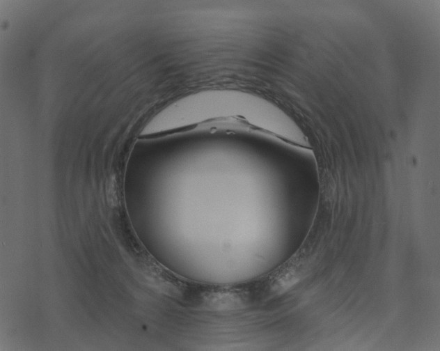 X0000073420224200608251558