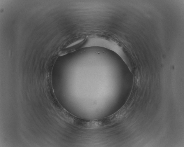 X0000073420225200608251558