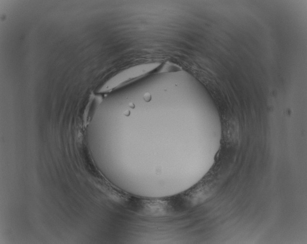 X0000073420226200608251558