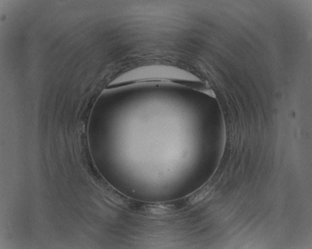 X0000073420229200608251558