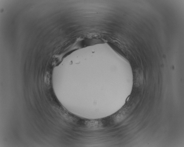 X0000073420230200608251558