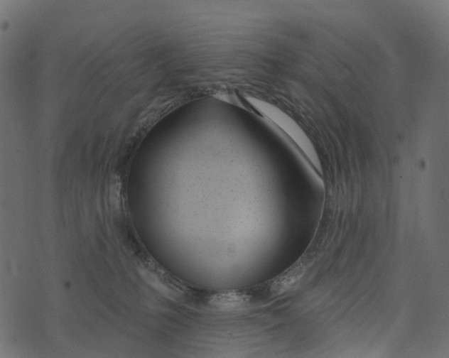 X0000073420231200608251558