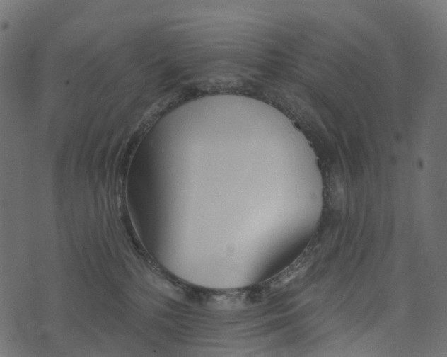 X0000073420232200608251558