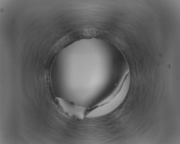 X0000073420233200608251558