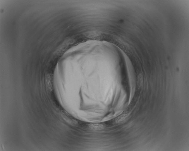 X0000073420234200608251558