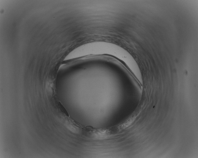 X0000073420235200608251558