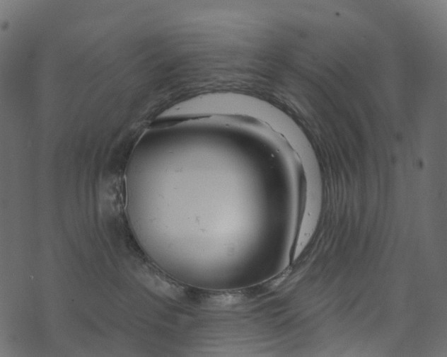 X0000073420237200608251558