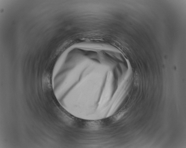 X0000073420238200608251558