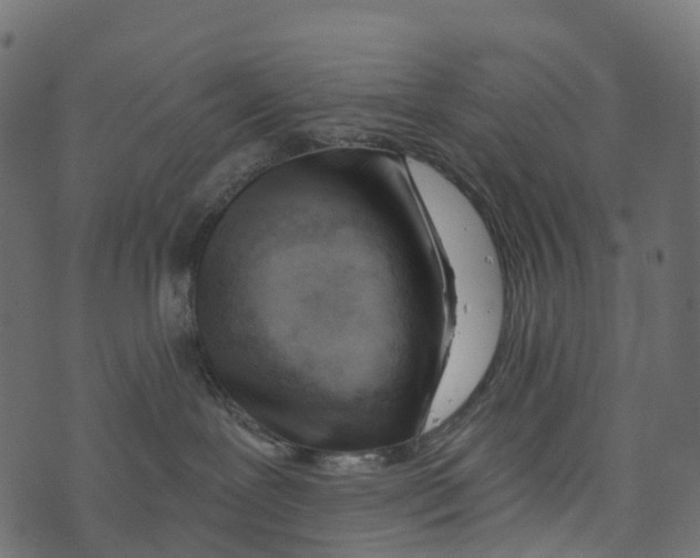 X0000073420239200608251558