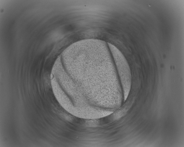 X0000073420240200608251558