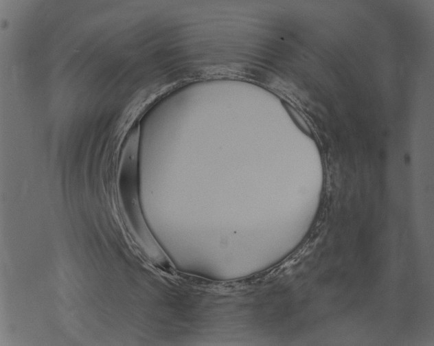 X0000073420241200608251557