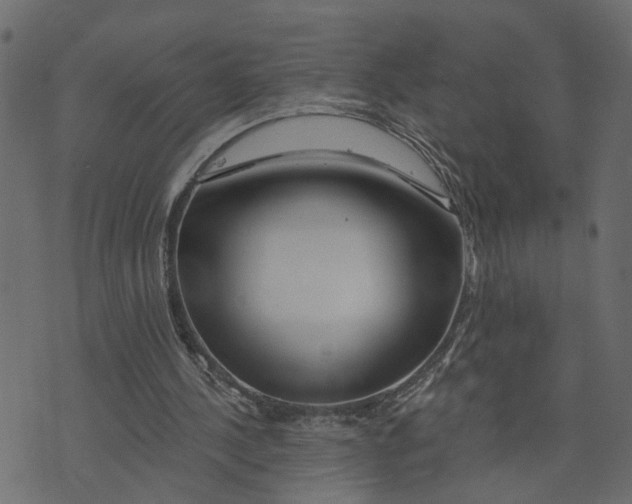 X0000073420244200608251557