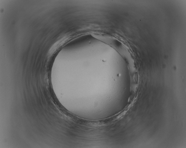 X0000073420245200608251557