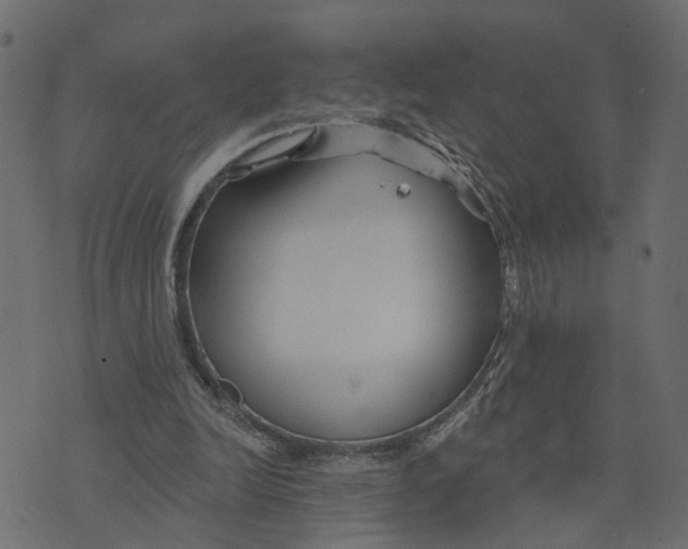 X0000073420246200608251557