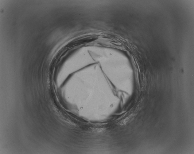 X0000073420247200608251557