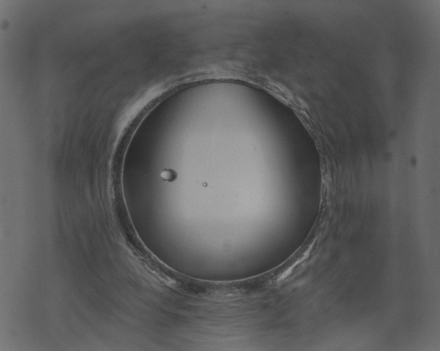 X0000073420248200608251557