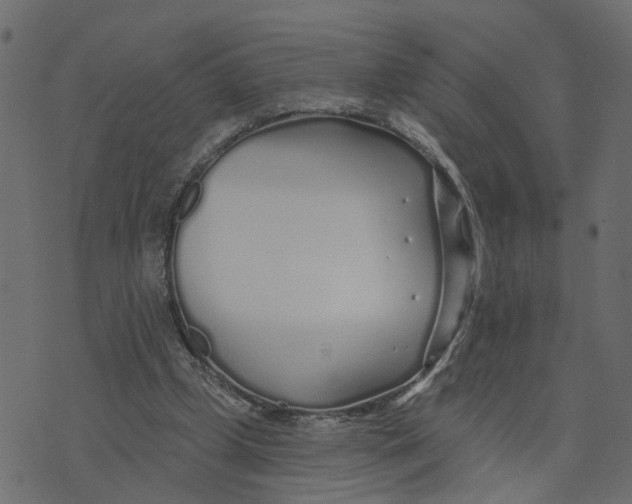 X0000073420249200608251557