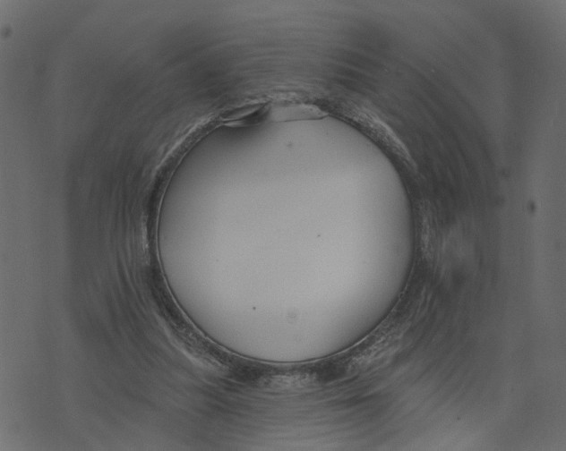 X0000073420251200608251557